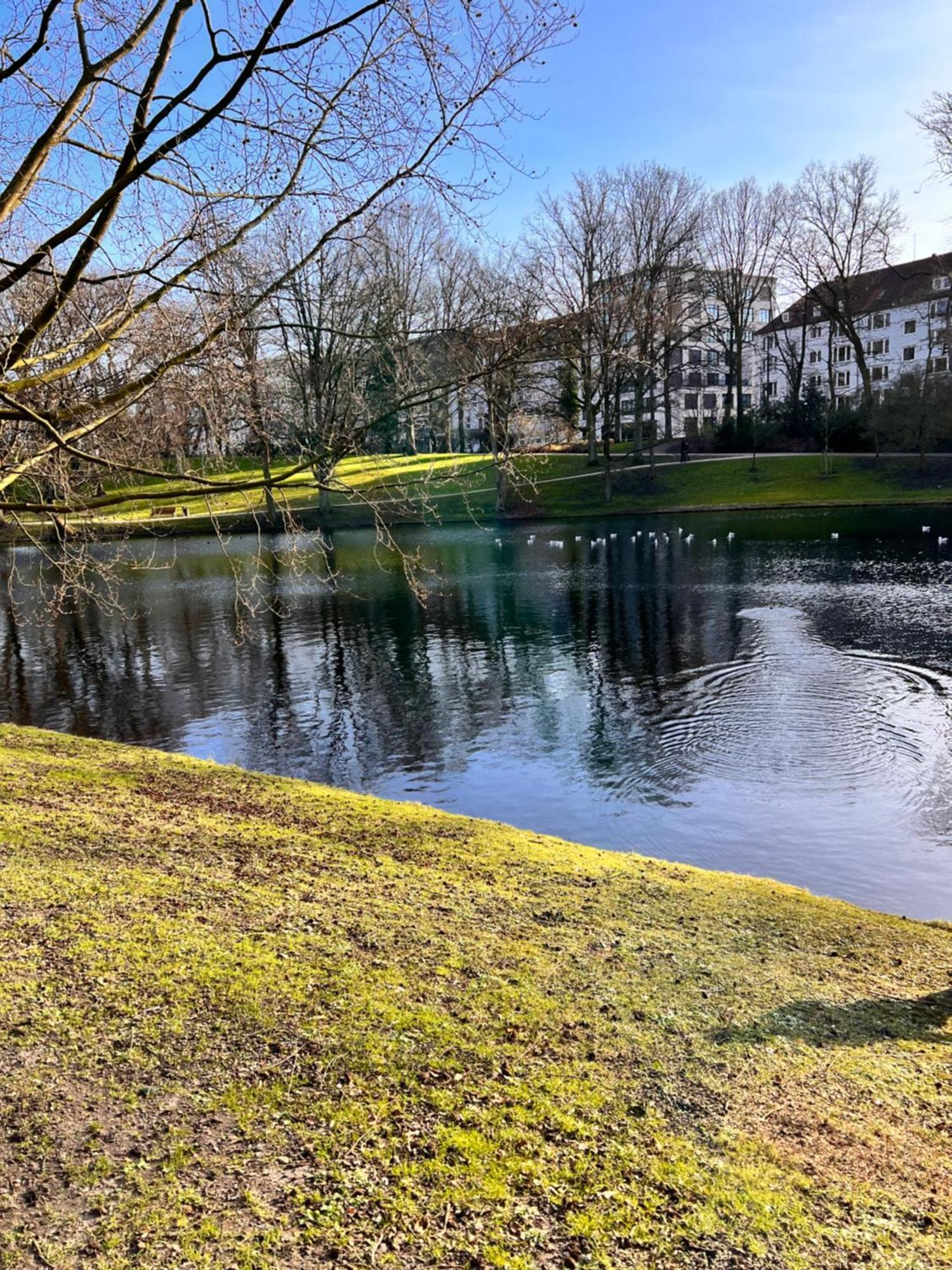 Mi Casa 3 Zimmer Geschmackvoll Zentral In BRE Exteriör bild